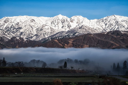 雲海にのまれる麓の村と白馬三山の朝焼け、朝の風景