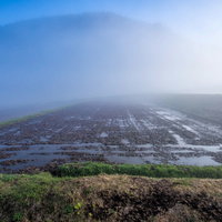 朝霧が立ち込める早朝の棚田の写真