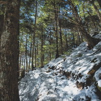残雪と木々の緑に降り注ぐ木漏れ日の登山道の写真