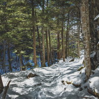 木漏れ日さす残雪の登山道を歩く冬の森の写真