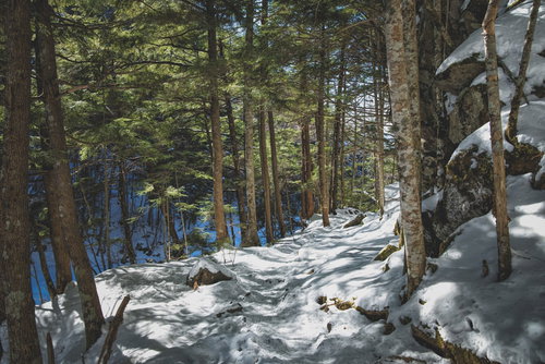 木漏れ日さす残雪の登山道を歩く冬の森