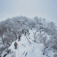 厳冬の丹沢主稜線を進む登山者の雪景色（神奈川県）の写真