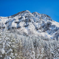 凍り付く赤岳主稜と積雪の森の冬景色の写真