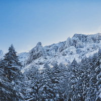 積雪の森から見る八ヶ岳の大同心と小同心の冬景色の写真