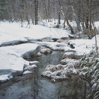 雪深い冬の湿原に小川が流れる上高地の雪景色の写真