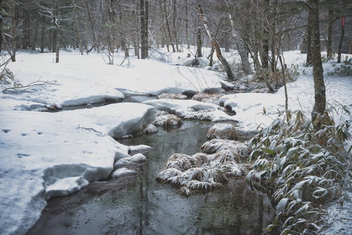 雪深い冬の湿原に小川が流れる上高地の雪景色