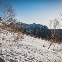 雪化粧したダケカンバと穂高岳（飛騨山脈）の写真