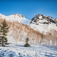 北アルプスの焼岳、北峰と南峰の雪景色、冬の雪化粧の山岳風景の写真