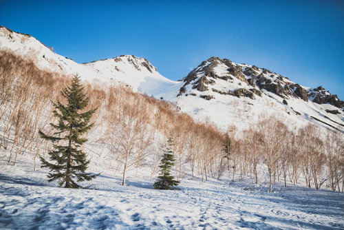 北アルプスの焼岳、北峰と南峰の雪景色、冬の雪化粧の山岳風景