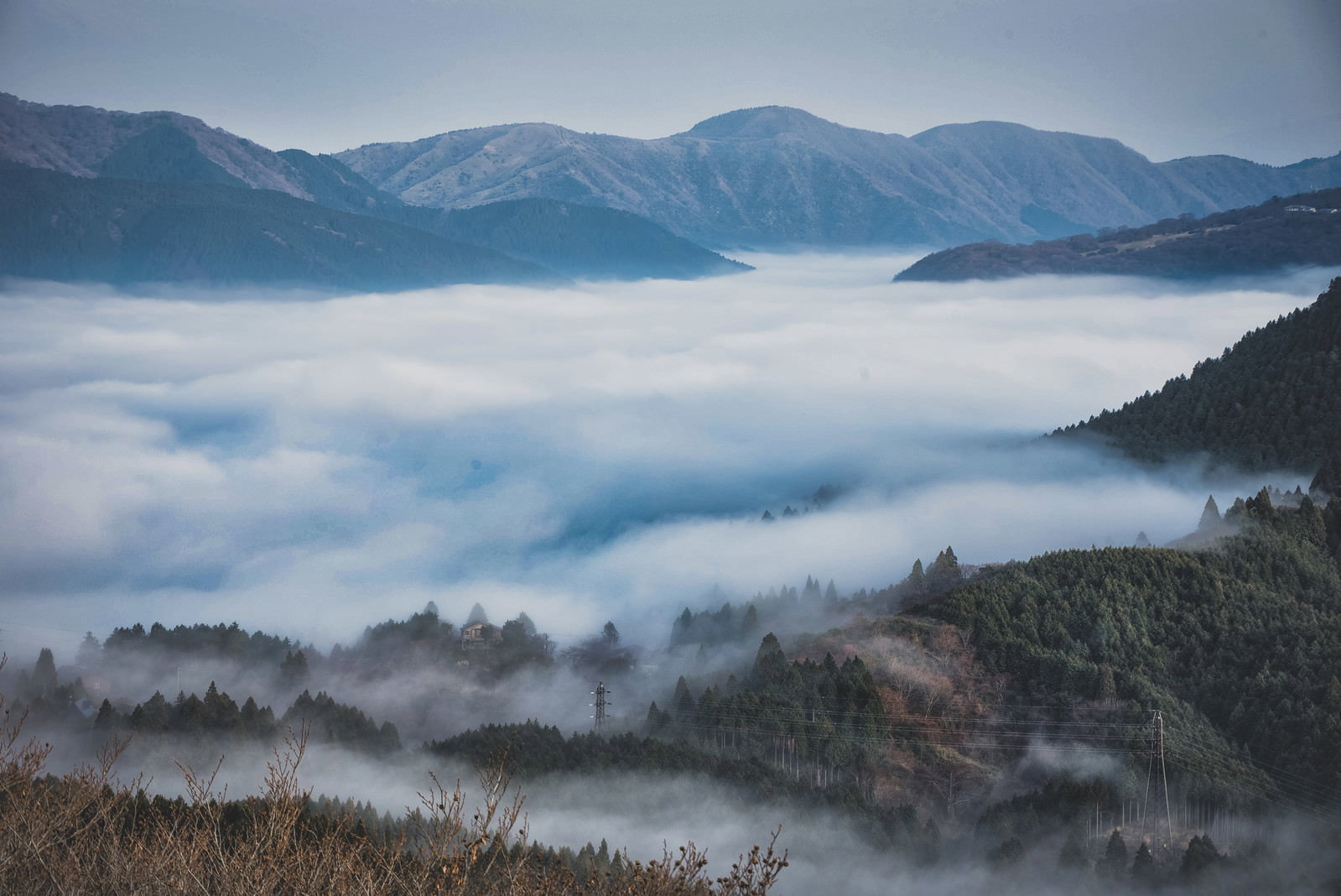 朝霧が立ち込める元箱根の山間風景、遠くの山々と白い霧が幻想的な夜明けの光景