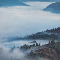霧に包まれる箱根の森、夜明けの山々、朝日が差し込む神奈川県の山間風景の写真
