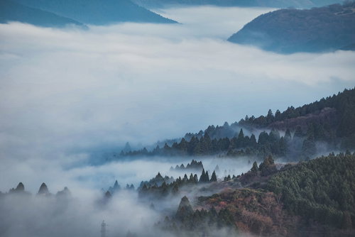 霧に包まれる箱根の森、夜明けの山々、朝日が差し込む神奈川県の山間風景