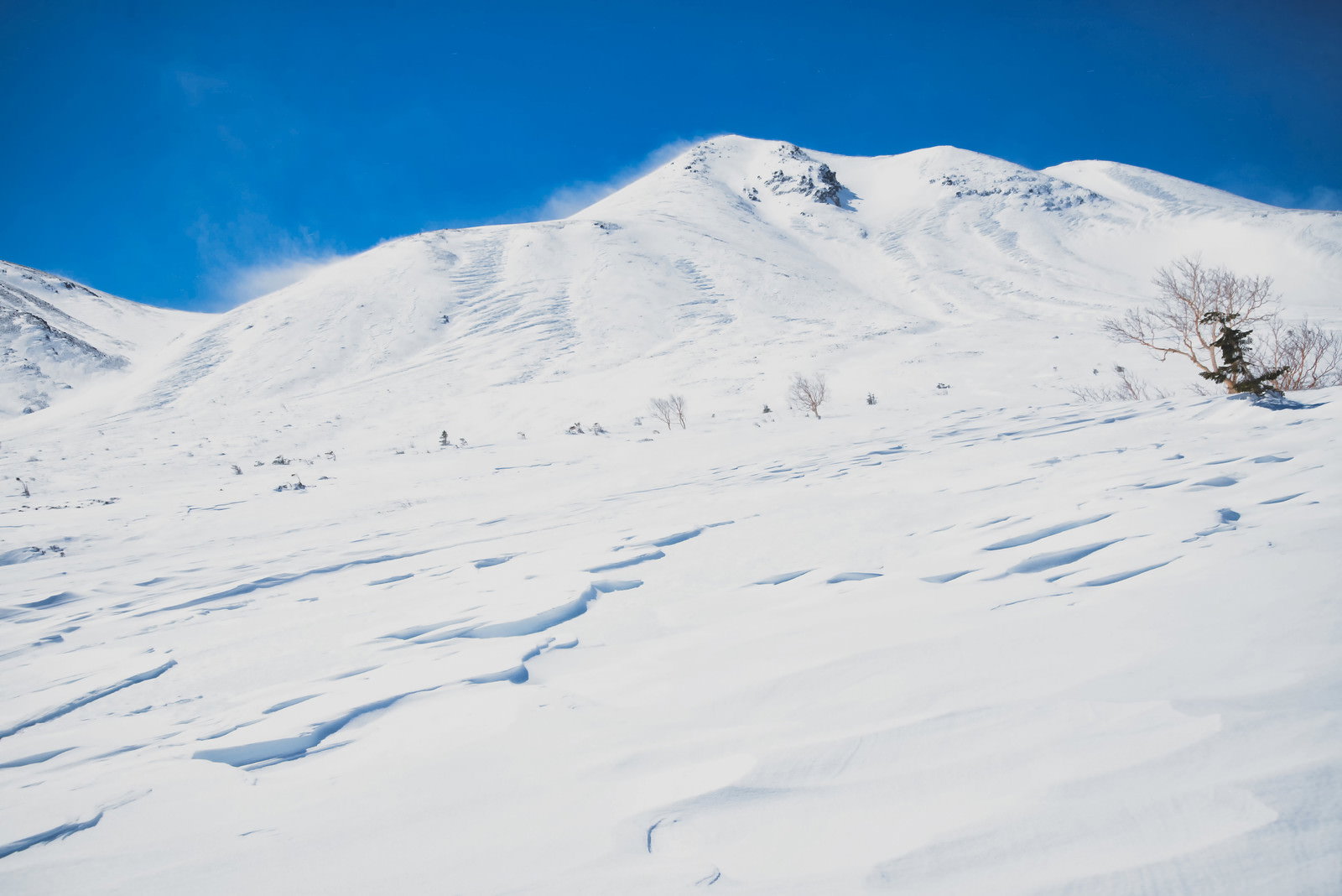 剣ヶ峰山頂の雪山に風が作り出したシュカブラ（風紋）が見える冬景色