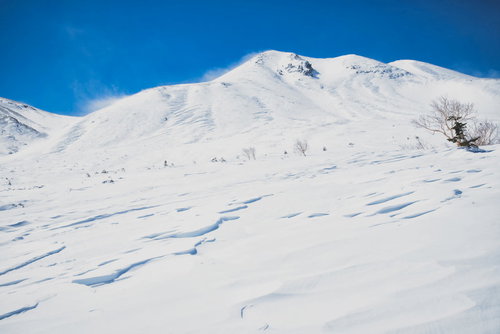 風が踊る剣ヶ峰山頂のシュカブラと積雪の雪景色