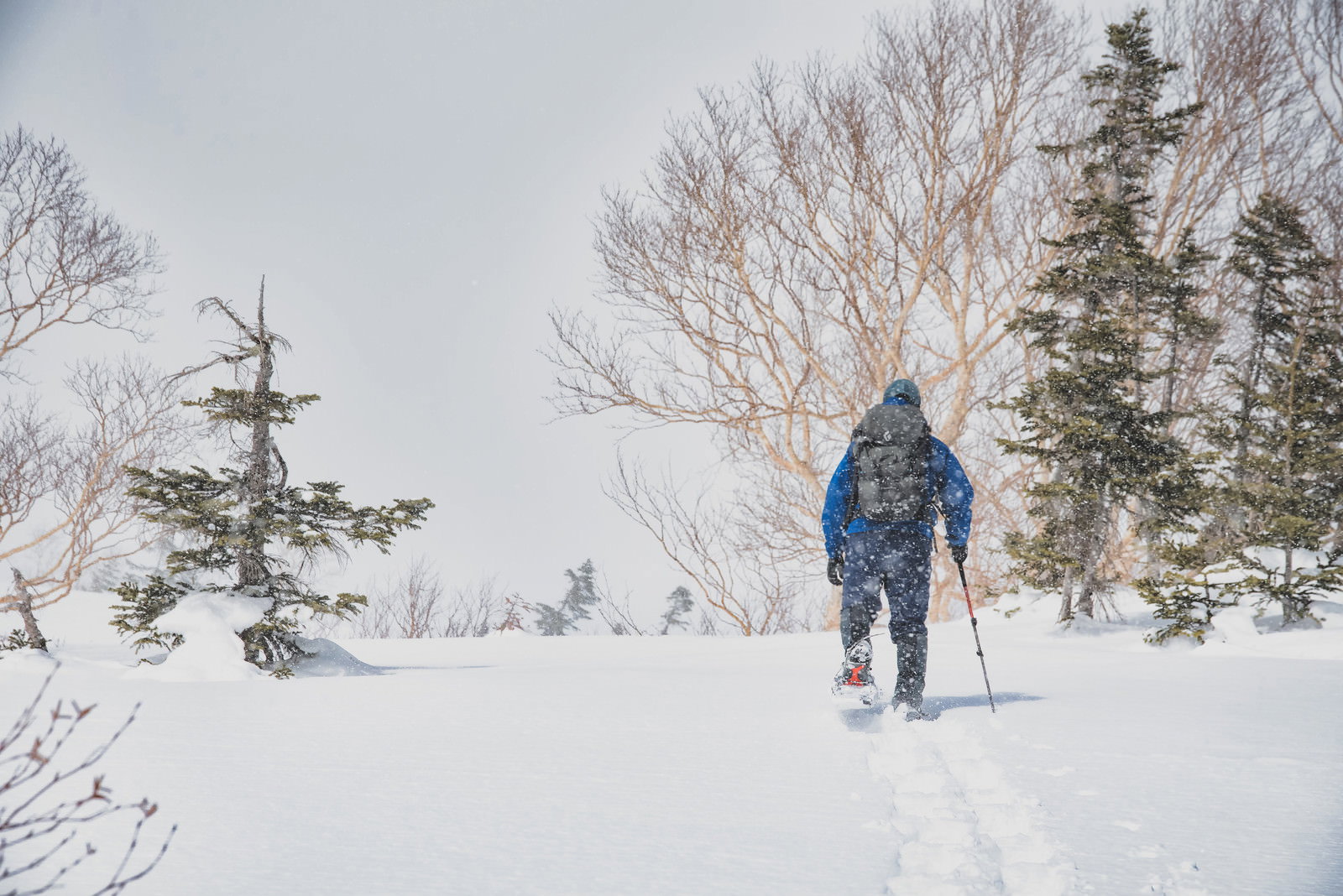 青いウェアを着た登山者が雪山でスノートレッキングをしている様子