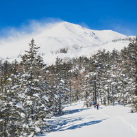 雪に覆われた乗鞍岳剣ヶ峰を目指す登山者の登山道の写真