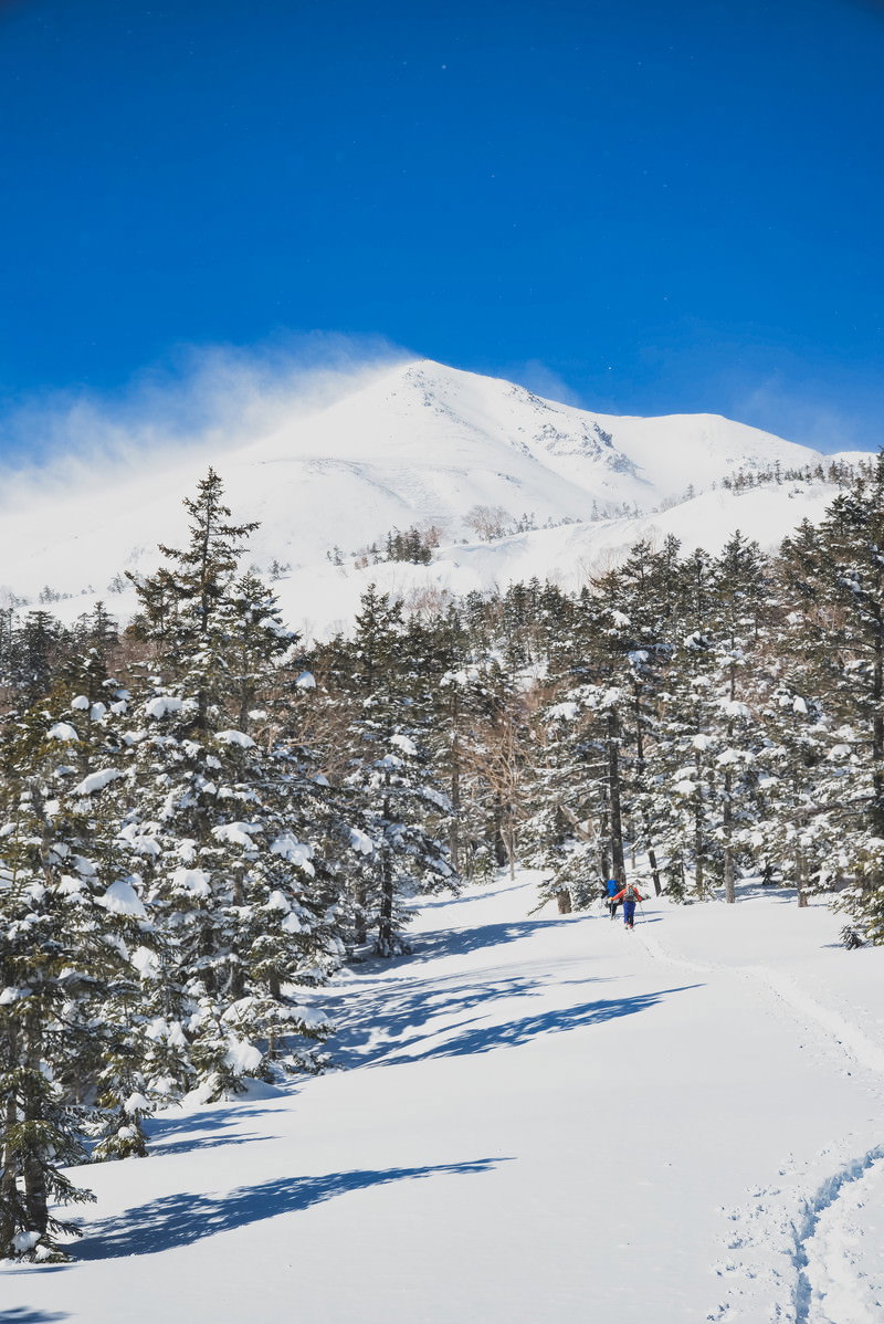 雪に覆われた乗鞍岳の登山道と針葉樹林、青空に白い雲が浮かぶ冬の山岳風景