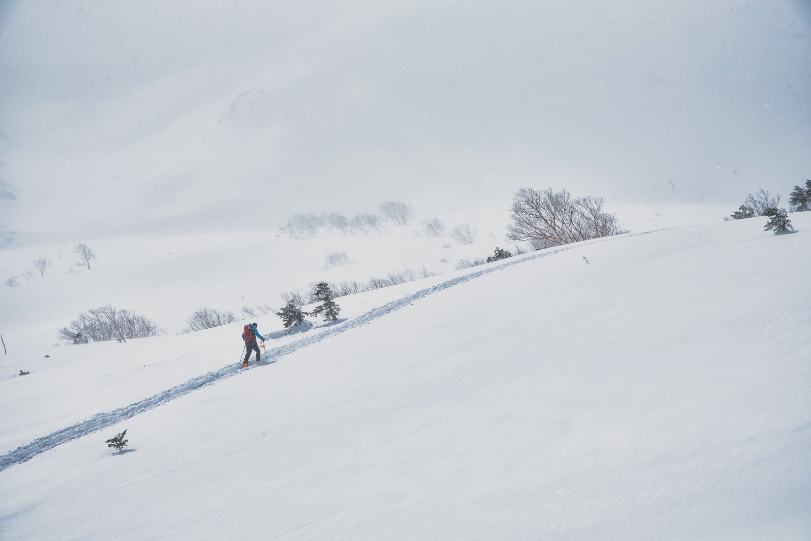 雪山の斜面を一列になって歩く登山者たちの後ろ姿