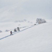 冬の雪山のトレースに沿って一列で進む登山者の写真