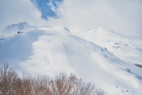 バックカントリースキーヤーの滑った跡が残る乗鞍高原の雪山