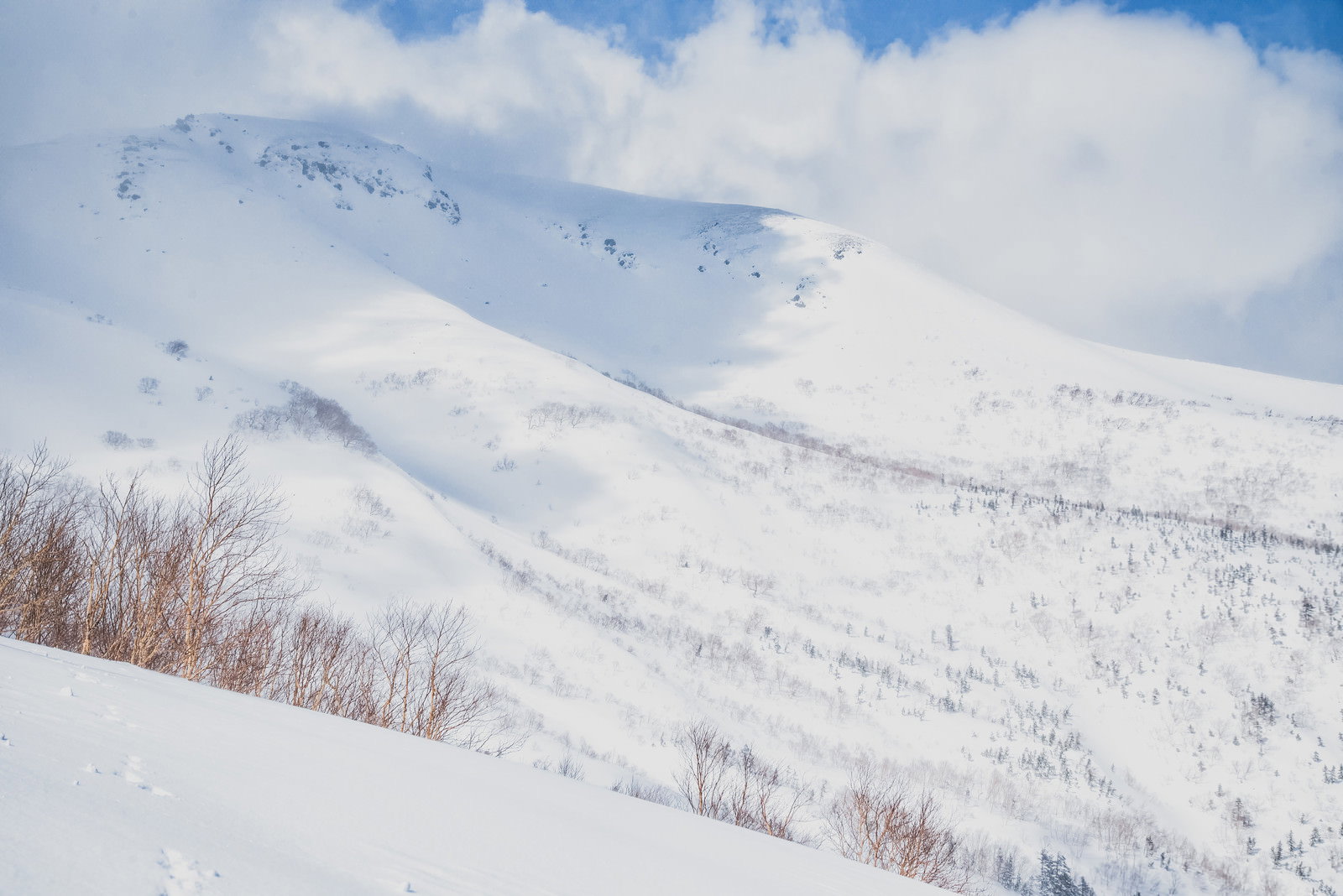 雲に覆われた雪化粧の乗鞍高原の山々と手前の木々