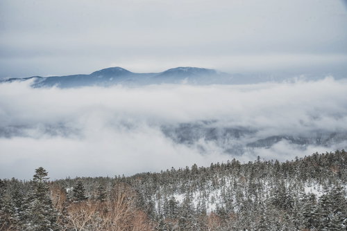 雲海に浮かぶ雪化粧した冬山の山々と針葉樹林