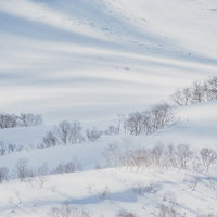 波打つ雪の表面に走る光、雪化粧した雪山の冬景色の写真