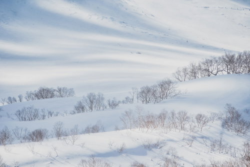 波打つ雪の表面に走る光、雪化粧した雪山の冬景色