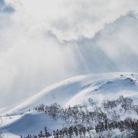 光芒が舞い降りる雪の乗鞍高原（北アルプス）の写真