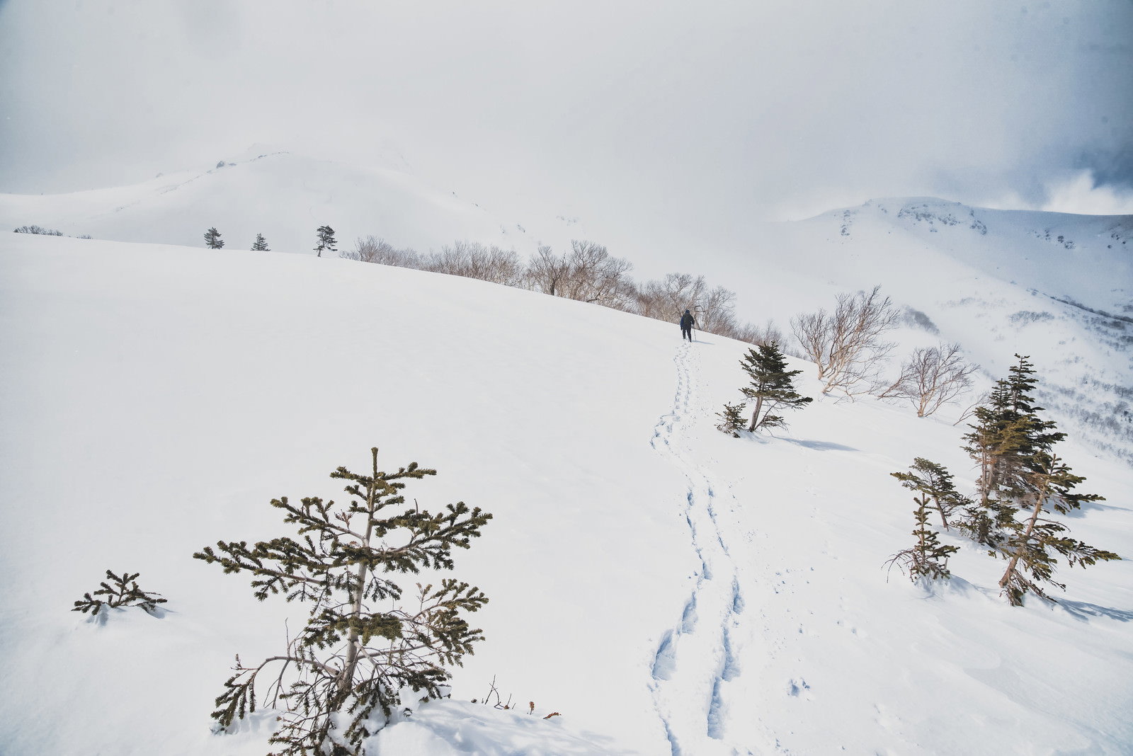 真っ白な雪原に一直線に続く登山者の足跡