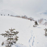 厳冬の雪原へ向かう登山者の足跡が一直線に続くの写真