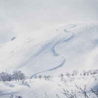 雪原の斜面に残るシュプールの軌跡と積雪風景の写真