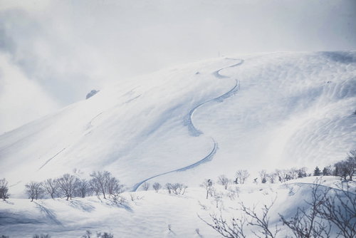 雪原の斜面に残るシュプールの軌跡と積雪風景
