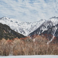 上高地の冬景色、森から見る雪化粧の穂高連峰と北アルプスの写真