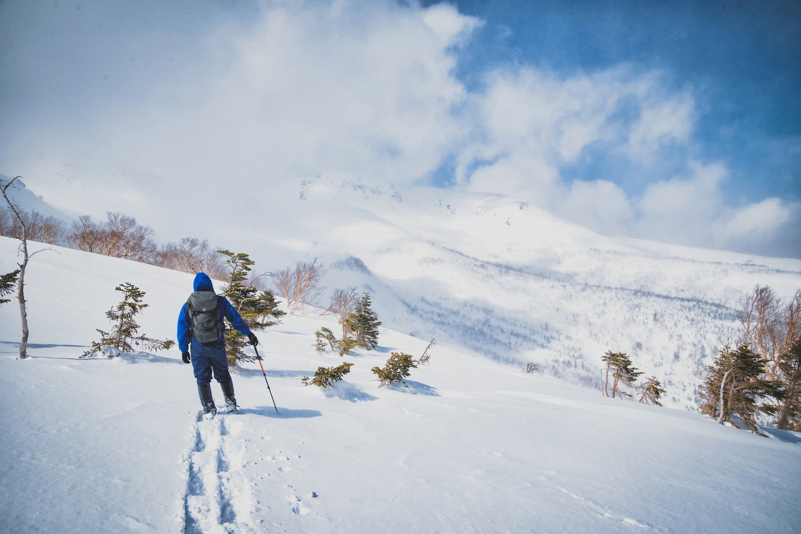 雪に覆われた乗鞍高原を見渡すスノーシューを履いた登山者