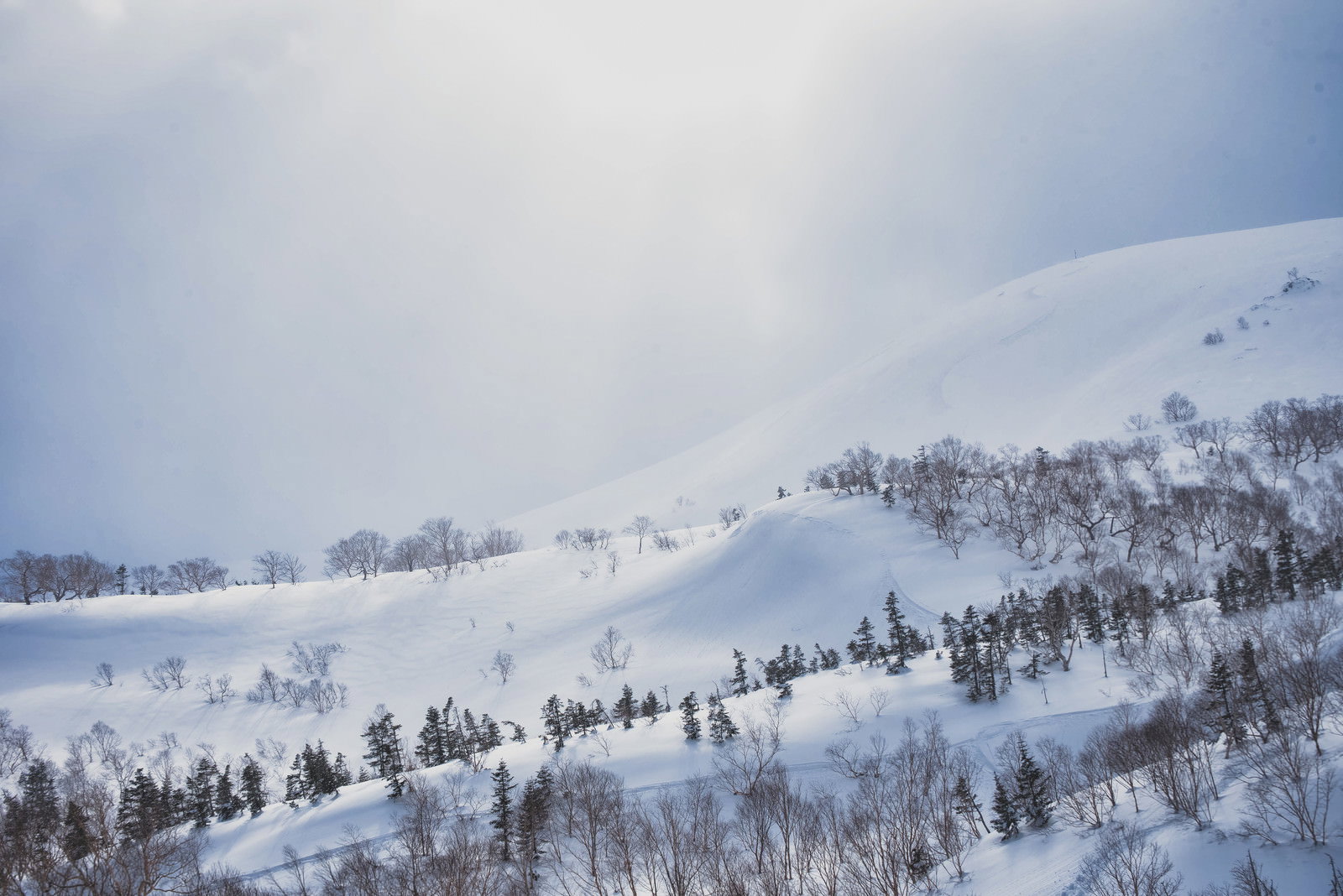 雪に覆われた乗鞍高原の山々に薄日が差し込む厳冬期の風景