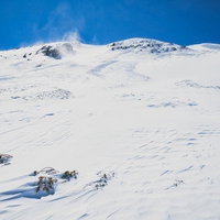 長野県の高原で雪に埋まったハイマツと風紋の写真