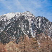 厳冬の麓の落葉樹の森越しに見る雪化粧の明神岳の写真