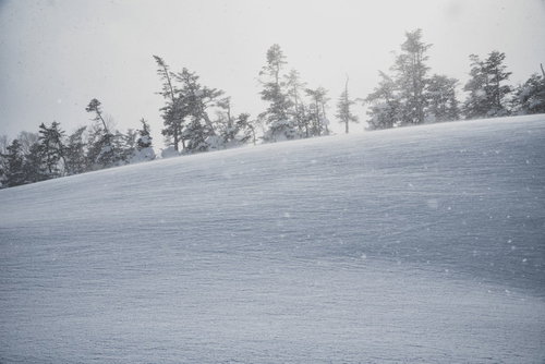 雪に覆われた山の斜面の雪原の世界