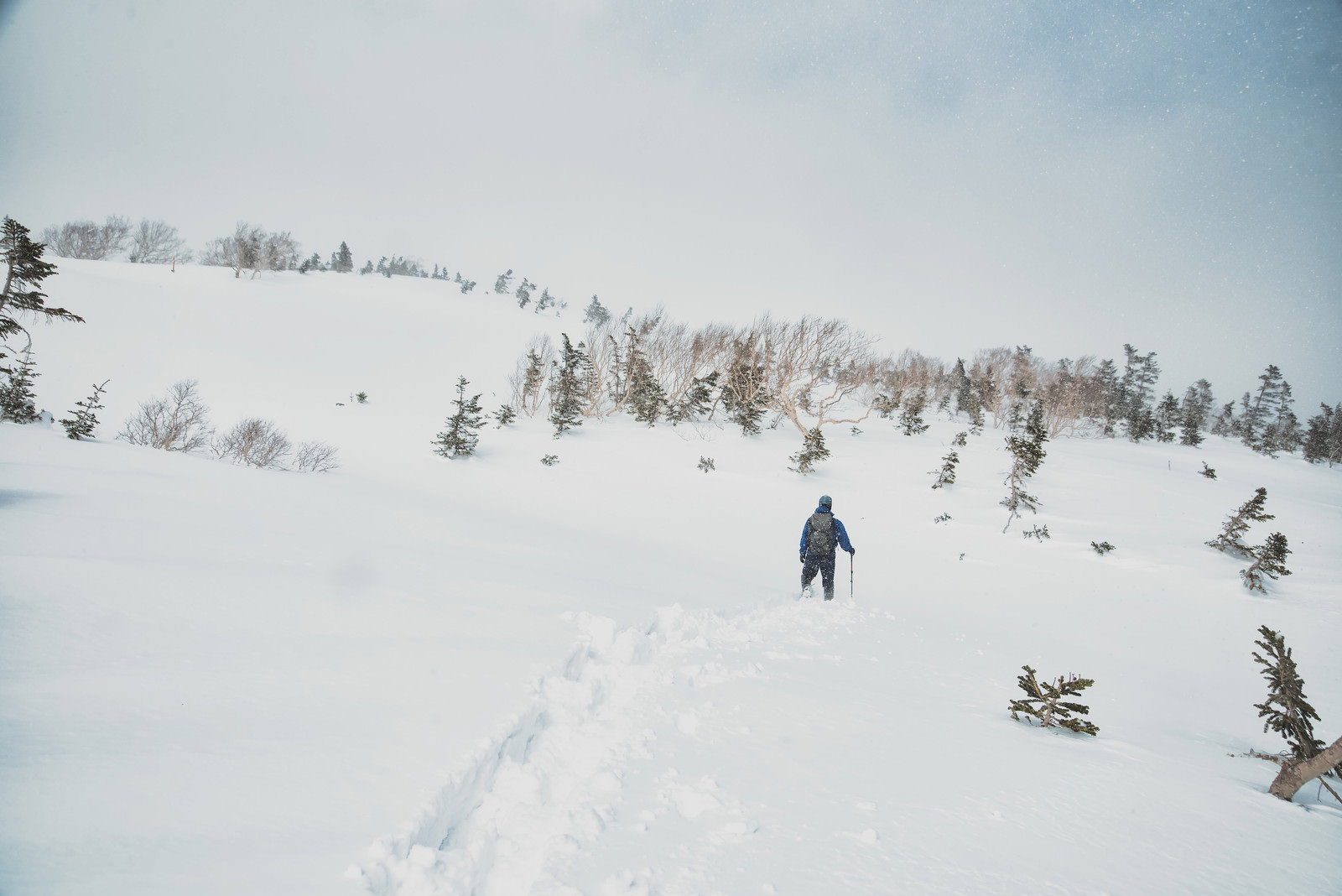 雪深い雪原の斜面を歩く登山者と雪面に残る足跡