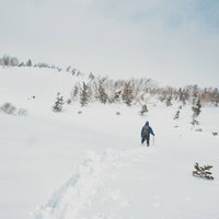 雪深い雪原を進む登山者の足跡の写真