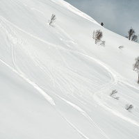 雪山の雪面に残るシュプールの跡、複数のスキー跡が平行に刻まれた冬景色の写真
