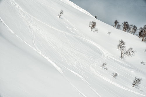 雪山の雪面に残るシュプールの跡、複数のスキー跡が平行に刻まれた冬景色