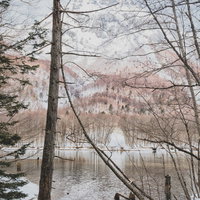 大正池の畔に立ち枯れた木々と雪化粧した焼岳（飛騨山脈）の写真