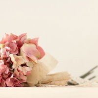 ベージュラッピングのピンク白グラデーションあじさい花束造花の写真