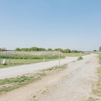 青空の下に広がる広い河川敷の草地と未舗装道路の写真