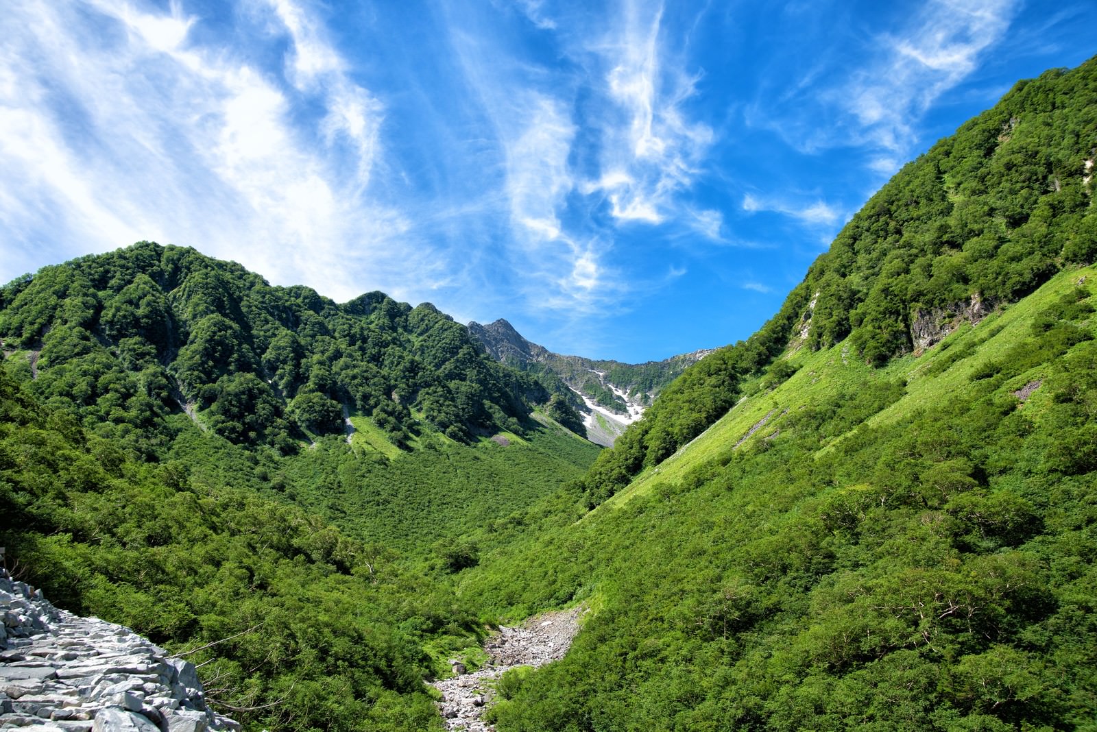 新緑に覆われた山間の奥に涸沢カールが見える青空の風景