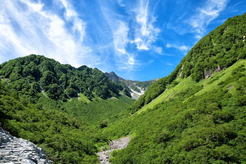 新緑溢れる山間から望む涸沢カールと青空、北アルプスの夏景色