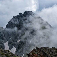 高山の岩場を歩くライチョウの写真