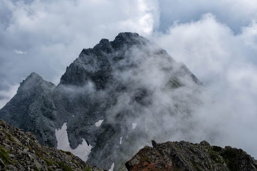 高山の岩場を歩くライチョウ